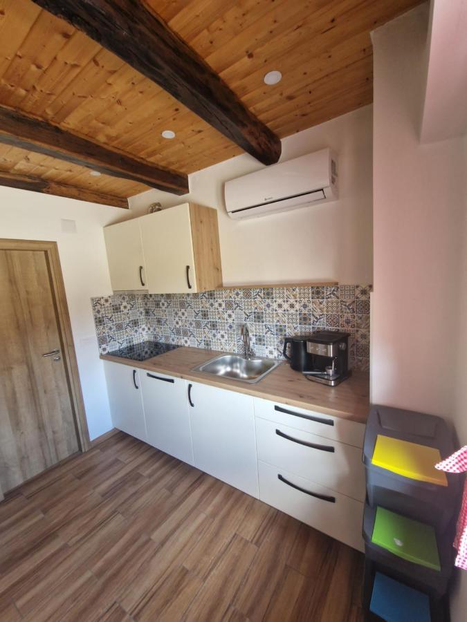 Ruralna Kuca Za Odmor Villa Pozun Ozaly Kültér fotó