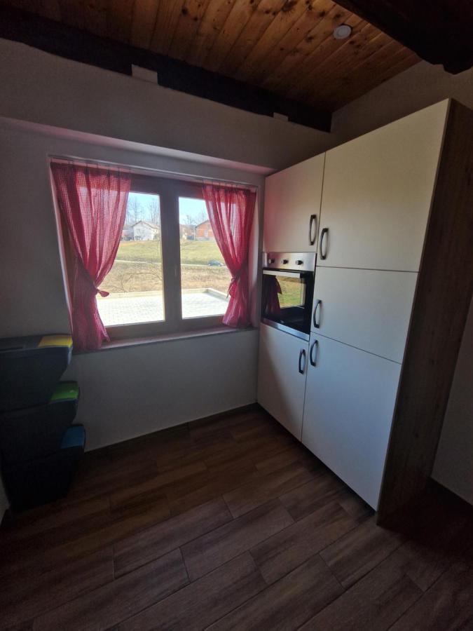 Ruralna Kuca Za Odmor Villa Pozun Ozaly Kültér fotó